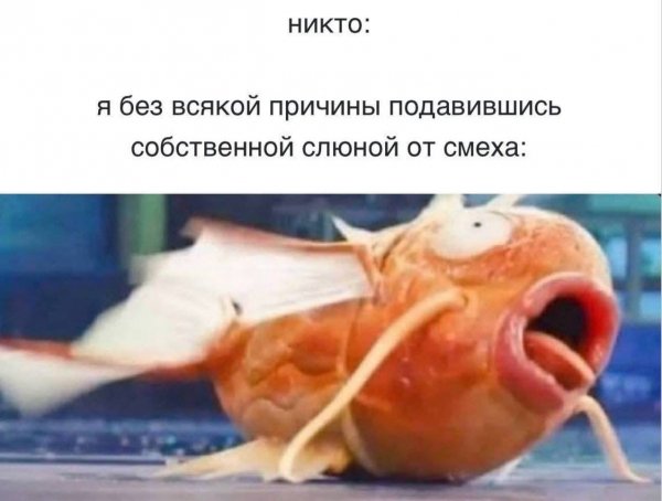 FB IMG 1777725097427