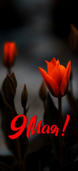 День Победы