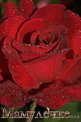 07b19fa353c1293b89e9604a1ff9a371