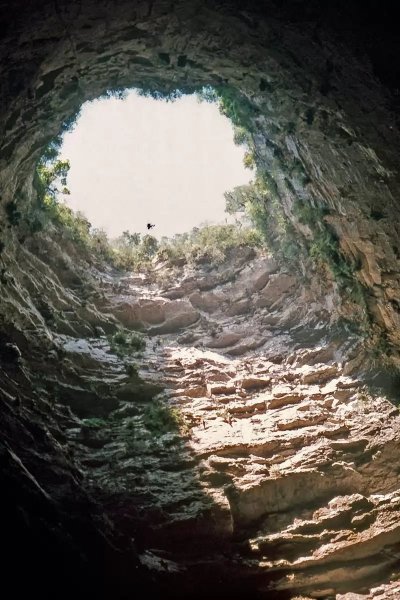 image (28)