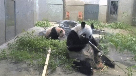 Твою Ж Мать... Ах, Ну Да, У Меня Же Теперь Есть Ребёнок