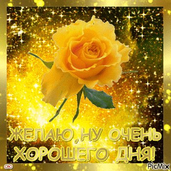 file_74096921