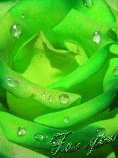 file_62023788
