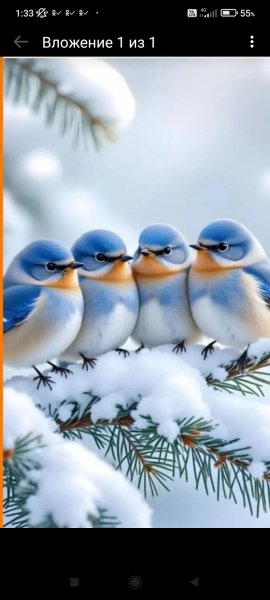 25-12-15-01-33-36-984