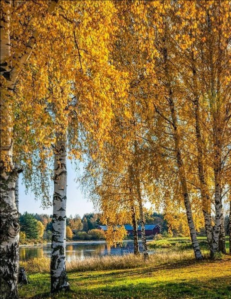 Screenshot 2021-10-16-08-52-32