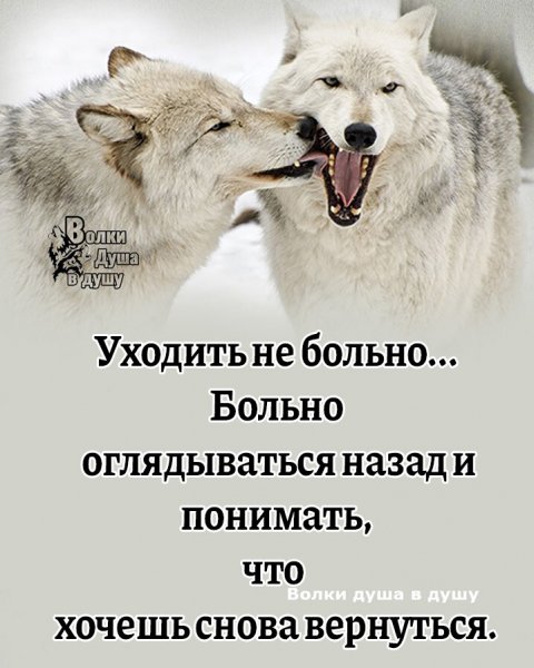 IMG 20250112 085938