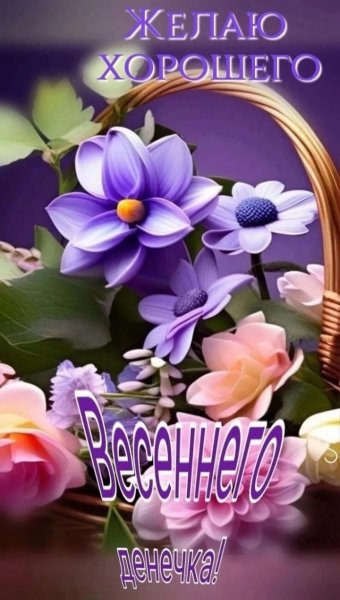 IMG 20260427 224450