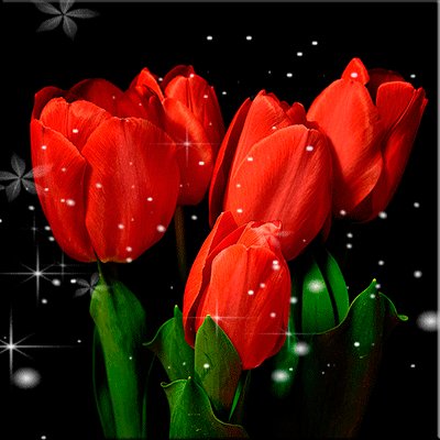 file_76157870