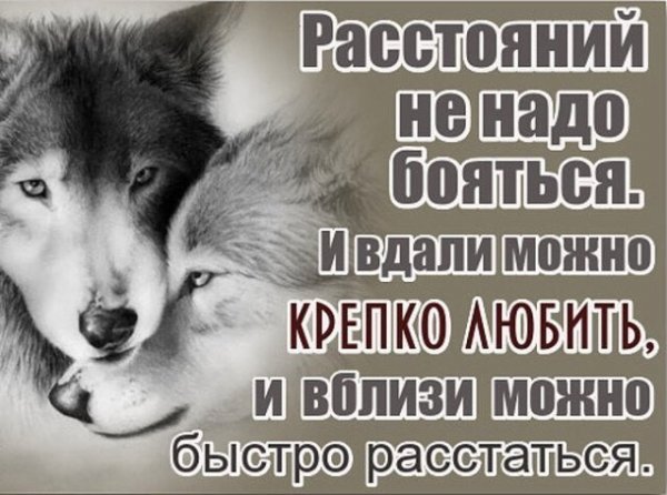 image (1)