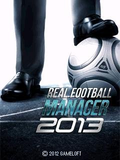 RealFootballManager2013