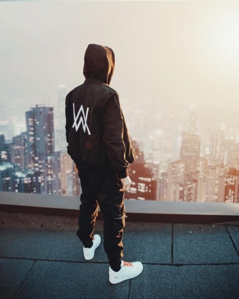 Alan Walker - Faded [FedoreX Remix]