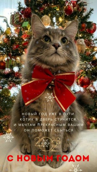 file_92335585