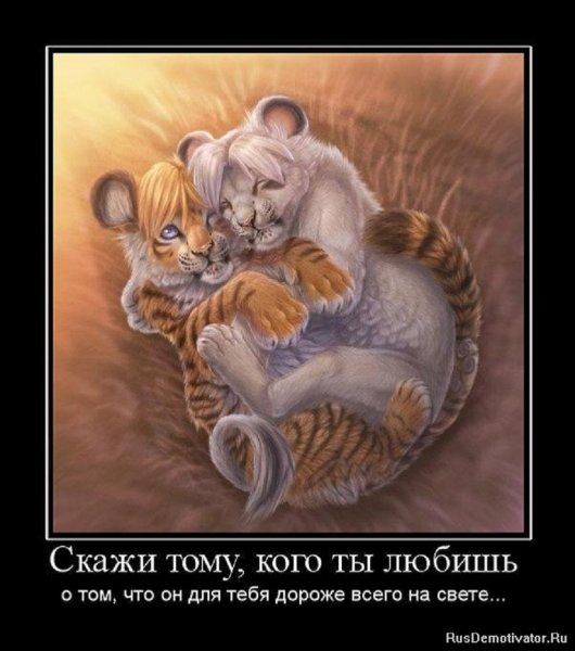 Скажи тому,кого ты любишь...
