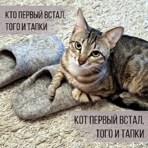 Кто парвый встал, того и тапки