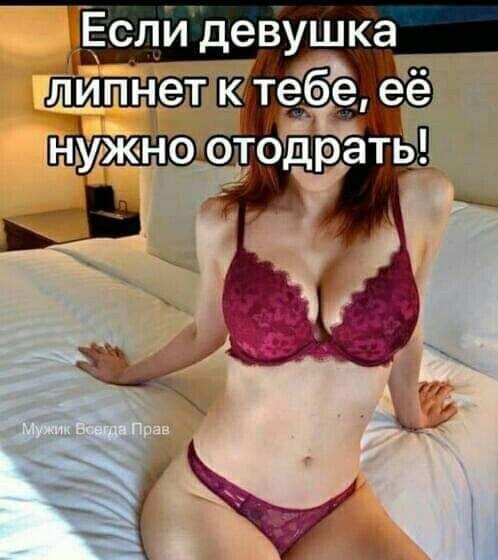file_86738905