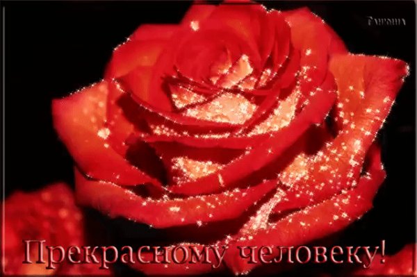 IMG 20171020 160101 17