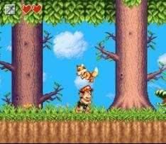 Super Adventure Island II (U)