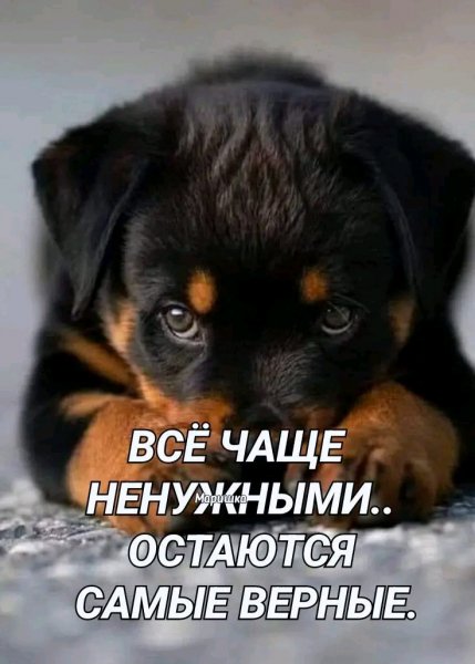 file_100871656