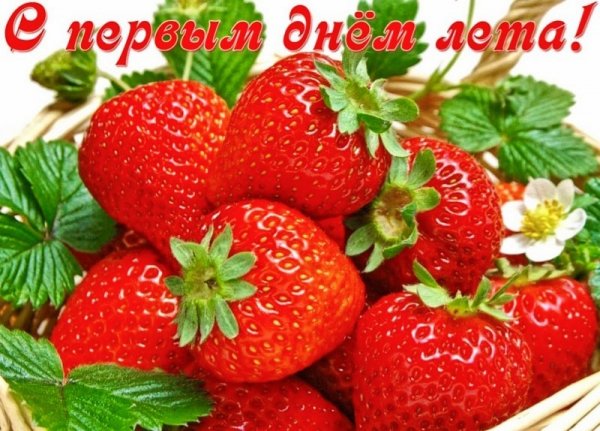 file_93715929