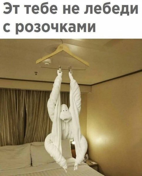 FB IMG 1778838243724