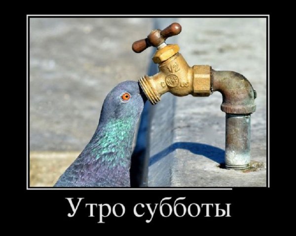 А может понедельника...