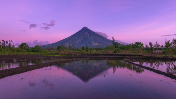 file_81397389