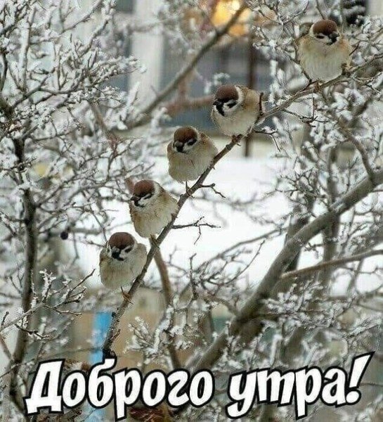 file_95188682