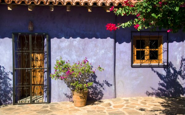 Colors of Mexico 5