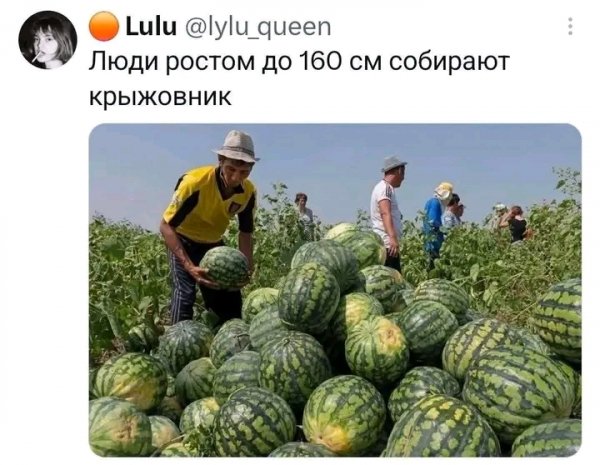 file_103322612
