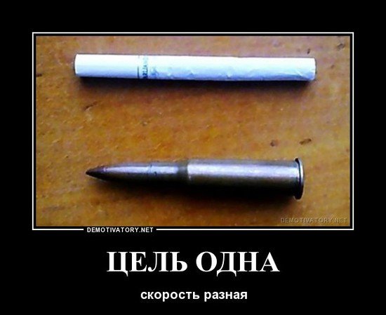 file_78382478