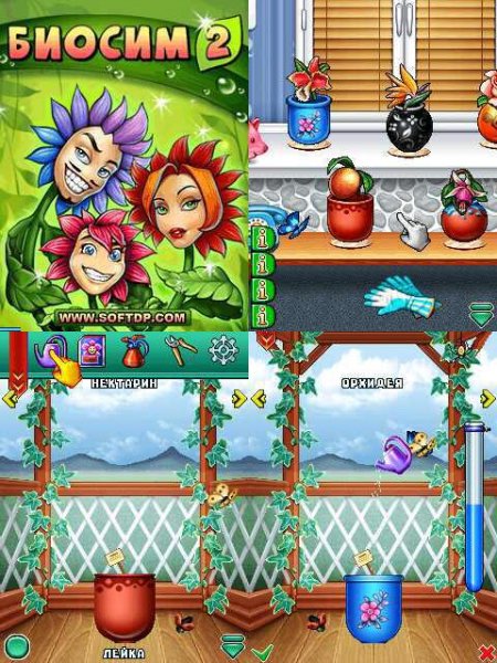 BioSim-2 128x128 rus