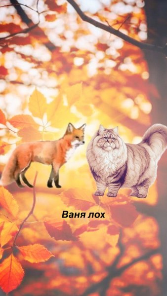 29 Лия - лох звонит