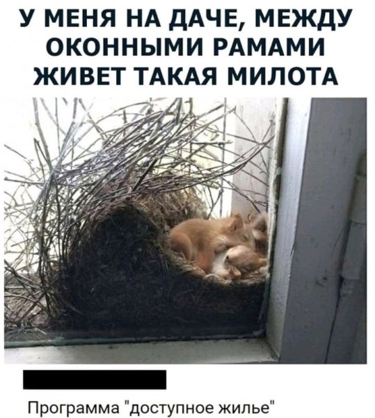 FB IMG 16292164106899465
