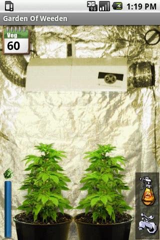 g4202