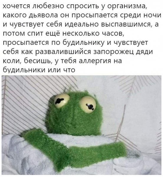 vdjvd