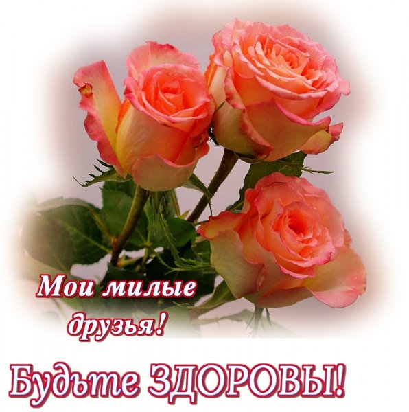 UVUADiJ7n9U