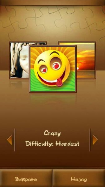 SpbPuzzleCrazyWidePack