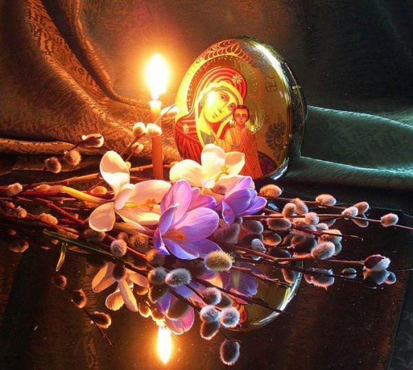 IMG 20170409 151750 0