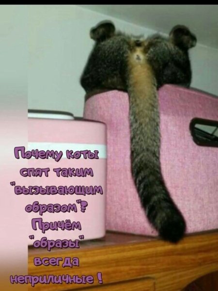 FB IMG 1779544617109