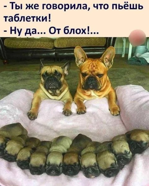 FB IMG 1778703372975