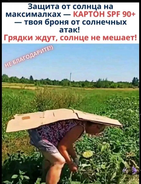 file_103254780