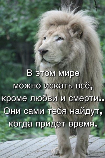 Придёт время