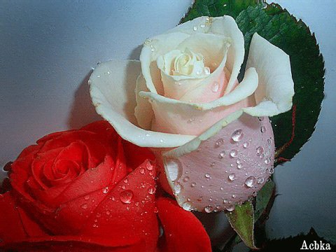 file_93111413