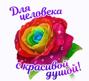 Dbbf