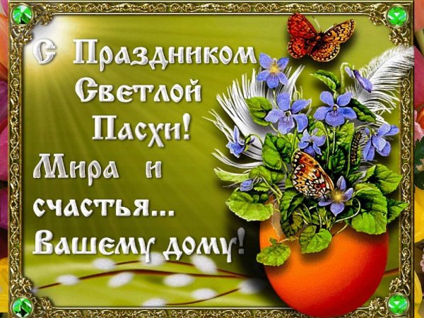 file_84185836