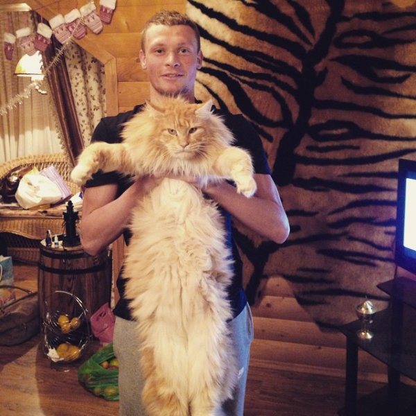 Зверь Евгения Макеева