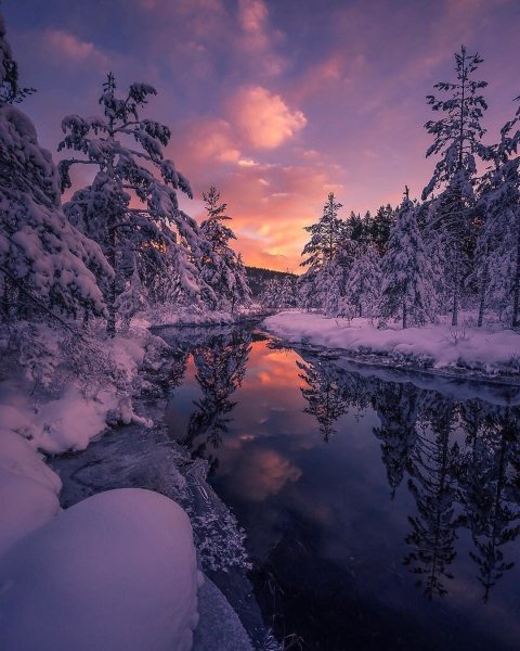 file_101578875