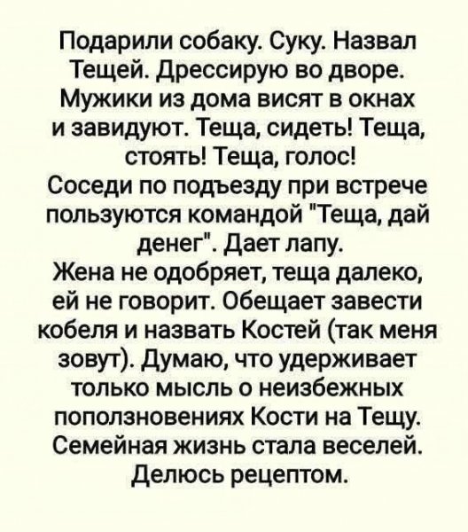file_99429364