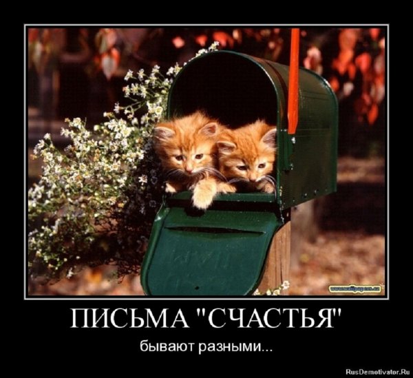 ПИСЬМА СЧАСТЬЯ