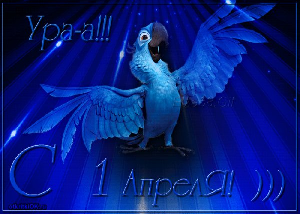 file_68128564